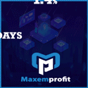 MaxemProfit.com