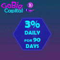 GoBig.Capital